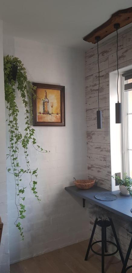 Dailidziu Apartamentai Клайпеда Екстер'єр фото